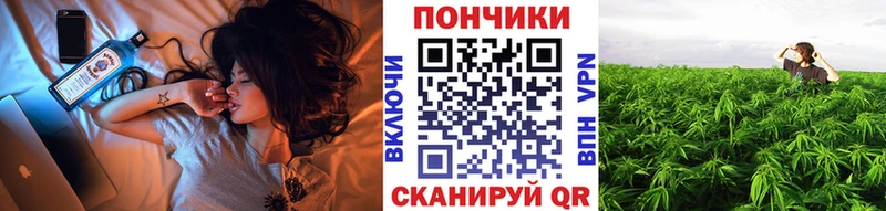 Шишки марихуана сатива  Волжский 